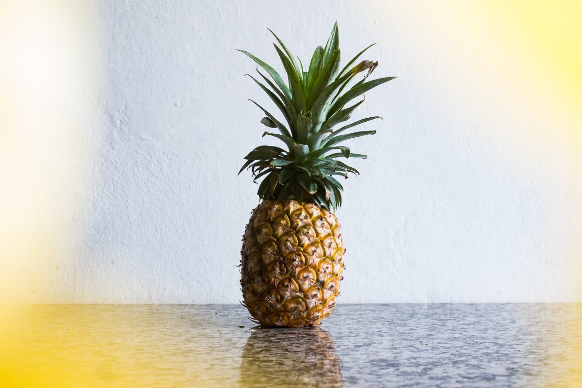 chien et ananas