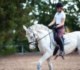 5 Gift Ideas for Horse Riding Enthusiasts