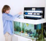 Aquarium Keeping Basics: How to Get Started