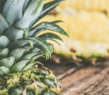 Can Dogs Eat Pineapple?