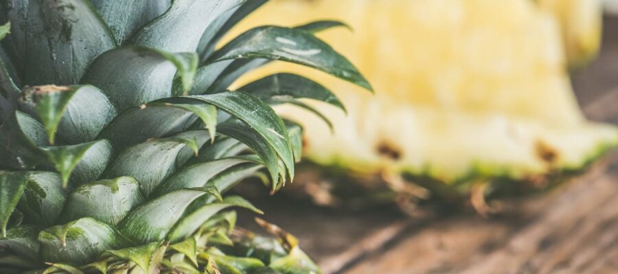 les chiens peuvent ils manger de l’ananas