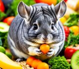 Chinchilla Nutrition: An Essential Feeding Guide