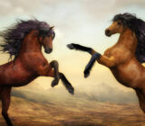 Choose Natural Products for Your Horses