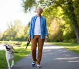 Dogs and Health: Does 1 Hour of Walking Add 2 Extra Years of Life?