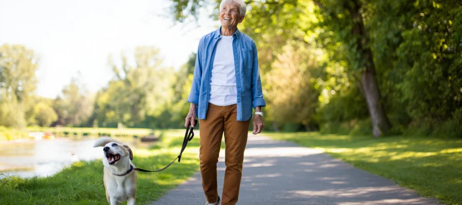 1 heure de promenade = 2 ans de vie en plus ? Comment votre chien booste votre santé