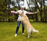 How Can I Stop My Dog from Jumping on People? A Practical Guide