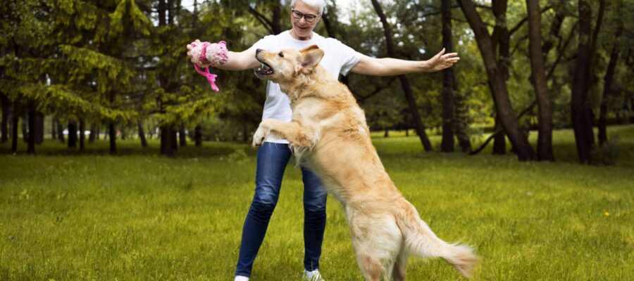 que faire lorsqu'on mon chien saute sur les gens