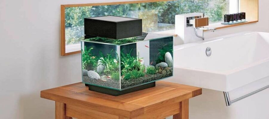 Comment entretenir son aquarium