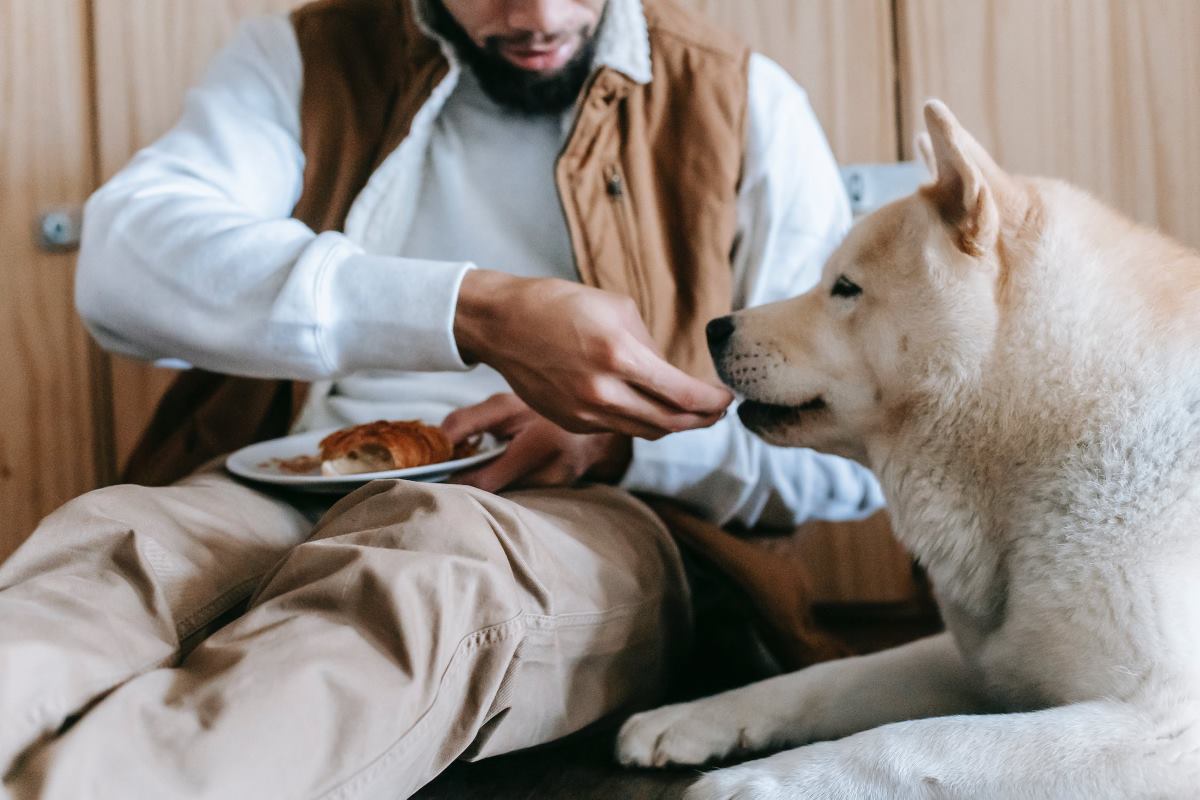 est ce que mon chien peut manger des croissants