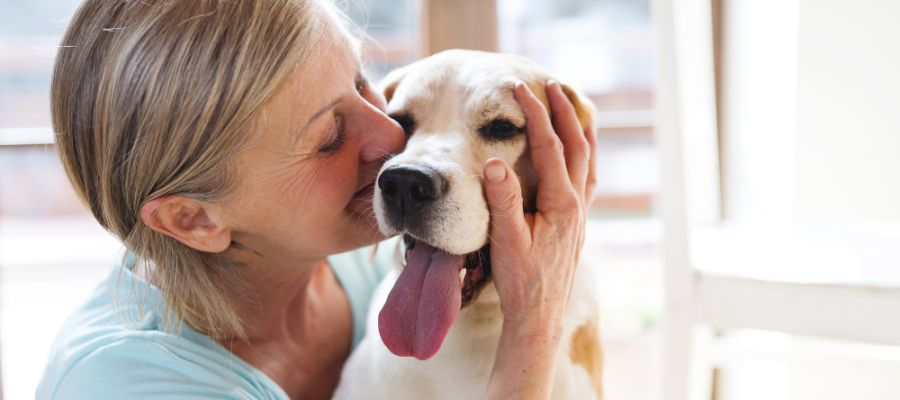 a partir de quand passer aux croquettes de chien sénior