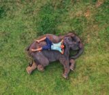 What Unusual Activities Can You Do with Animals?